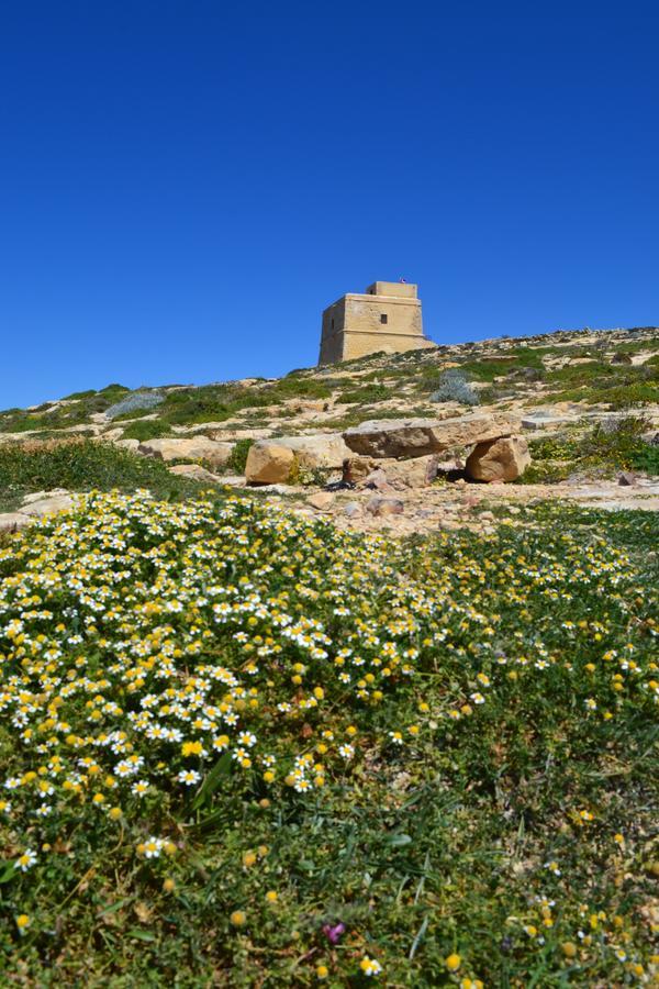 Taljola B&B Għarb Exterior foto